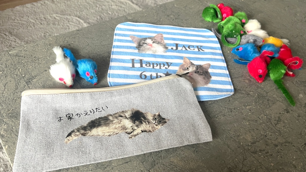 お家に帰りたい猫マルチフラットポーチ