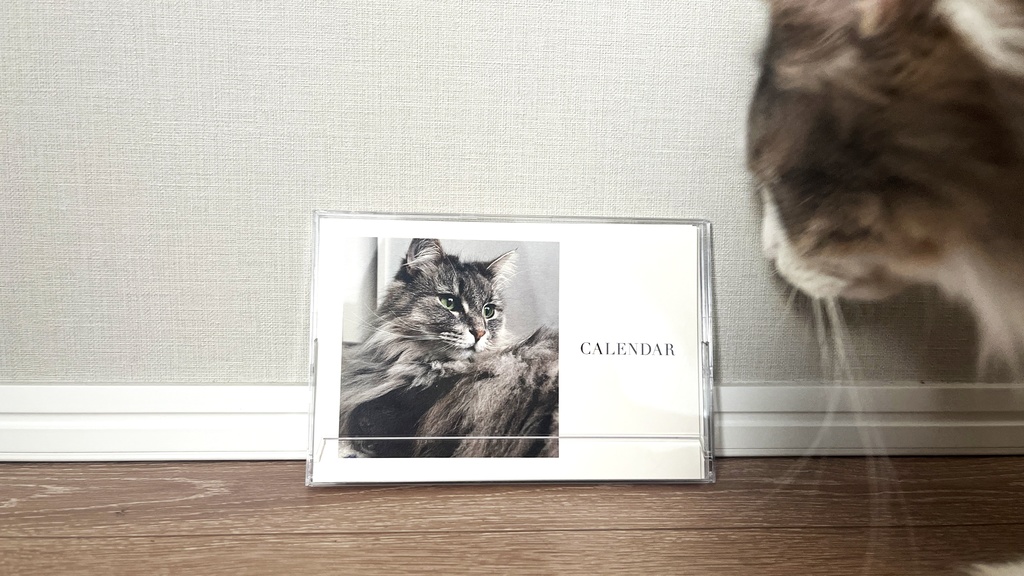 【記念日あり】2024年ジャックとりり様オリジナル記念日カレンダー