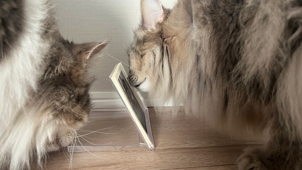 【記念日あり】2024年ジャックとりり様オリジナル記念日カレンダー