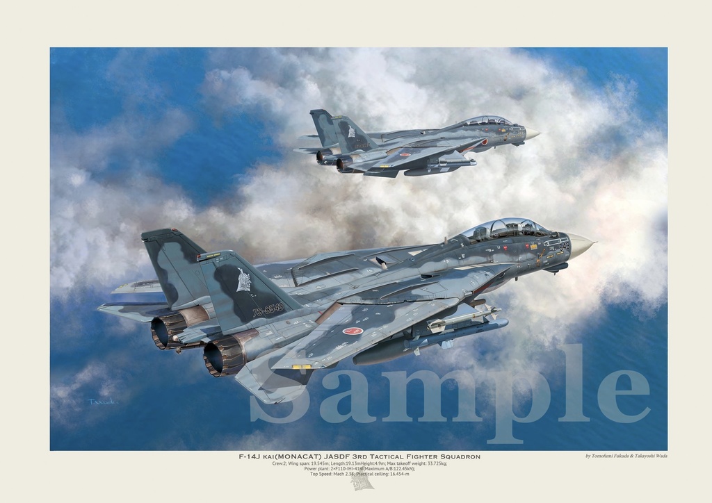 F-14J kai MONACAT アートポスター