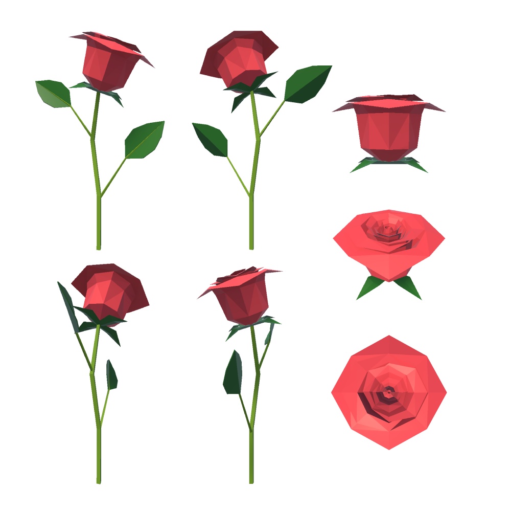 シンプルな薔薇