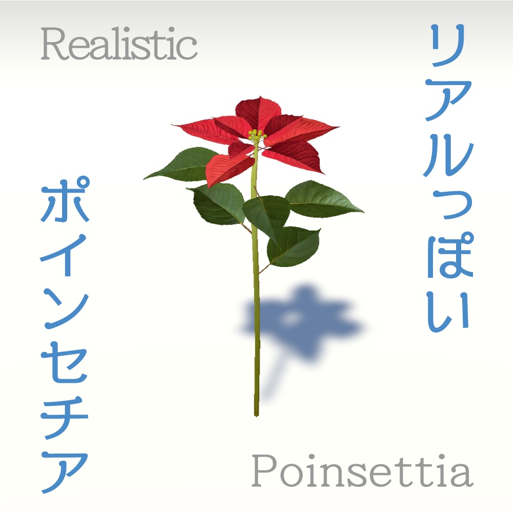 [3D] リアルっぽいポインセチア / Realistic Poinsettia