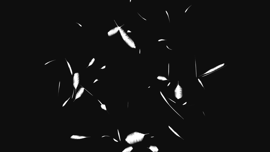 【背景透過】舞い散る羽エフェクト【動画素材・エフェクト】
