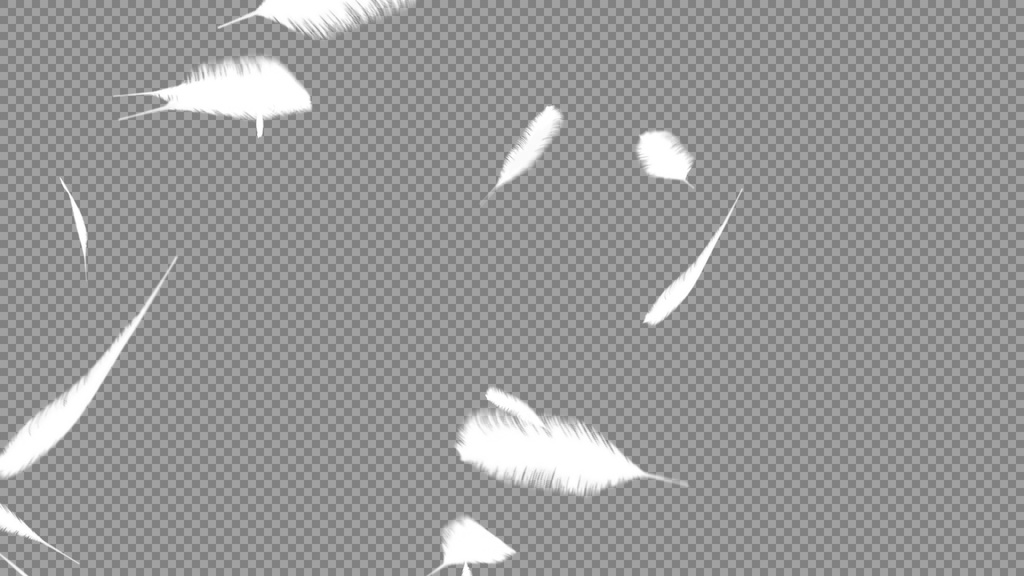 【背景透過】舞い散る羽トランジション【動画素材・エフェクト】