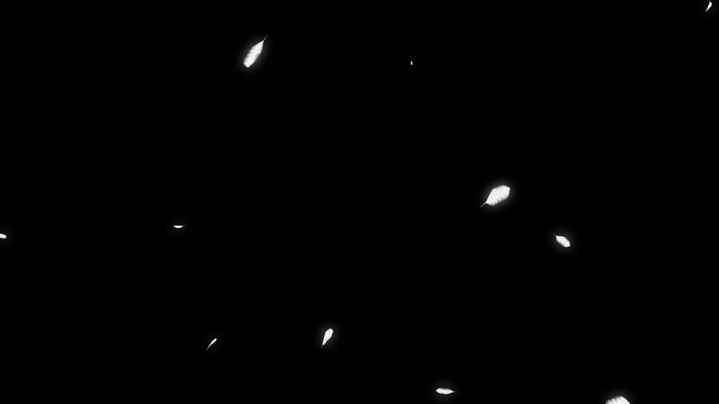 【背景透過】羽が降りそそぐオーバーレイループ背景セット【動画素材・エフェクト】