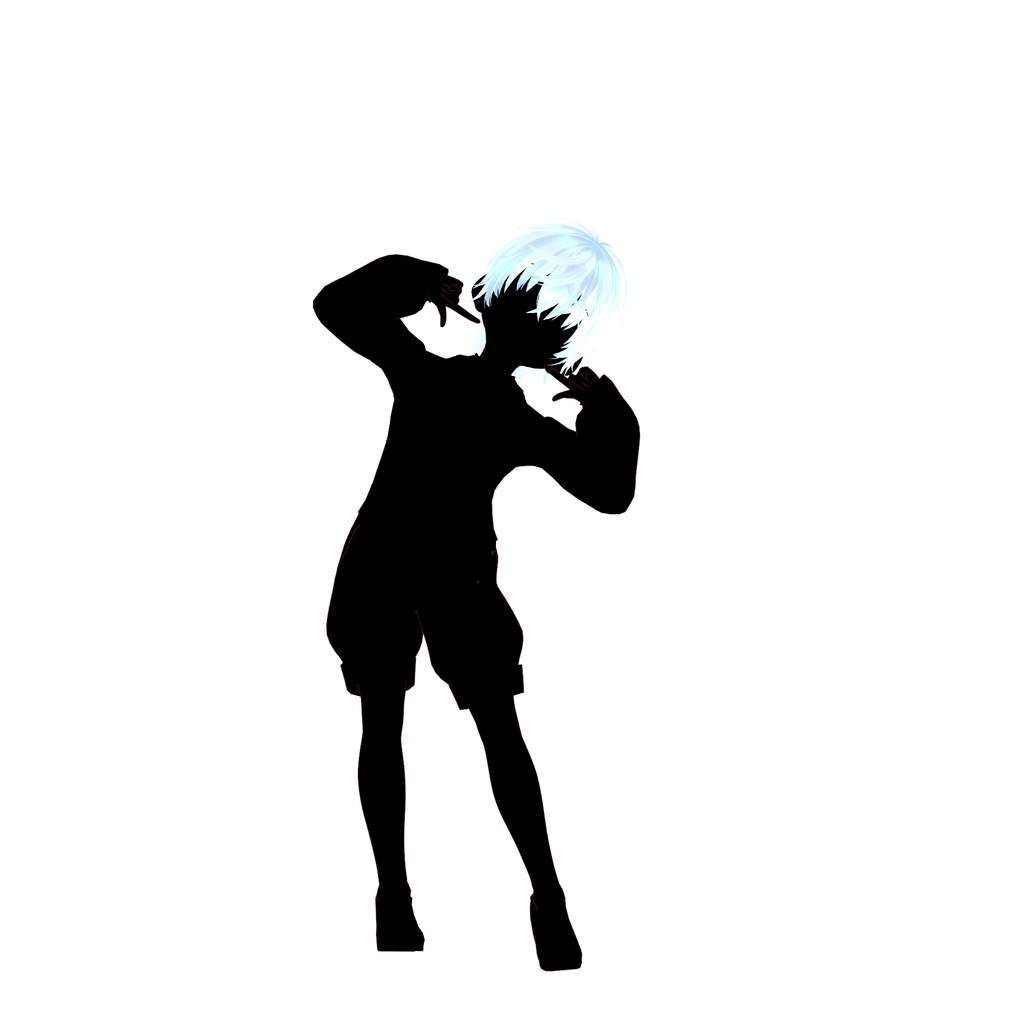 NOIRcollection ノワールシリーズ ールアン、ルシェー