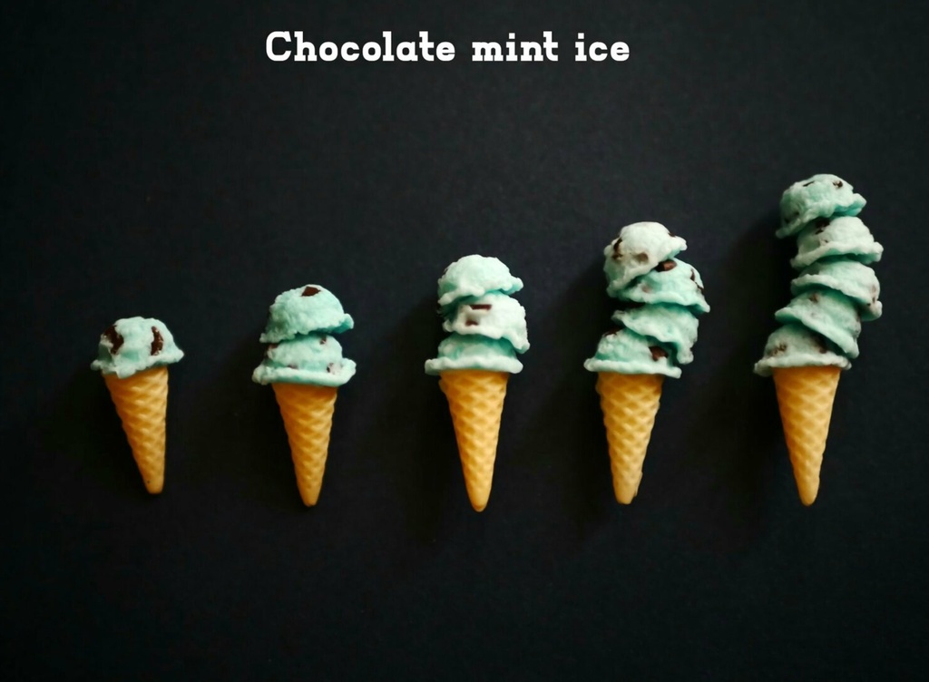 2本選べるミニチュアチョコミントアイス(※こちらメッセージのやり取りが必要です