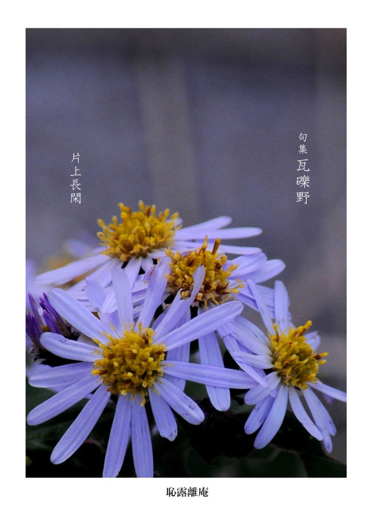 片上長閑『句集 瓦礫野』