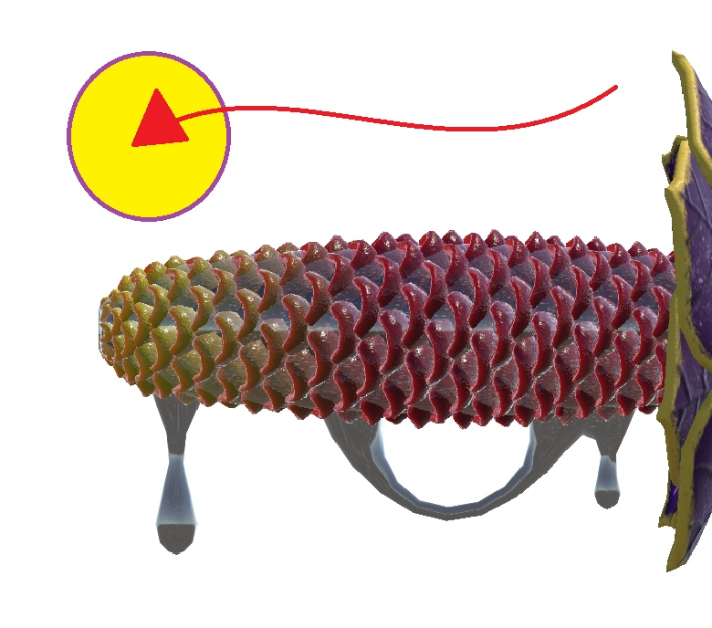 Monster Genetalia : Oozer (Beehive-Ginger)
