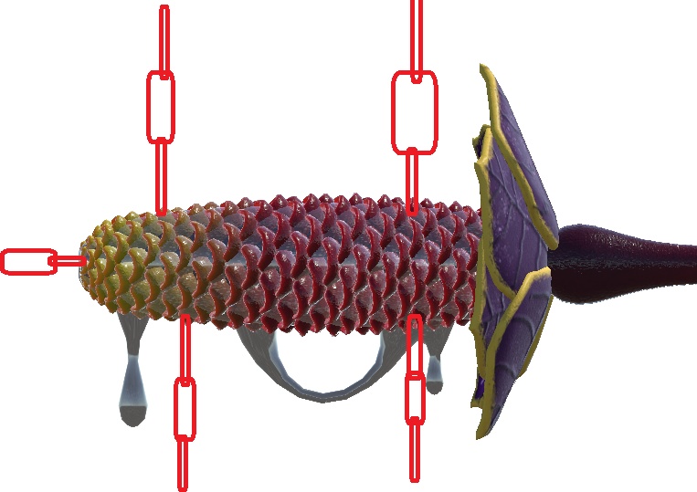 Monster Genetalia : Oozer (Beehive-Ginger)