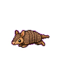 デスクトップアルマジロ
