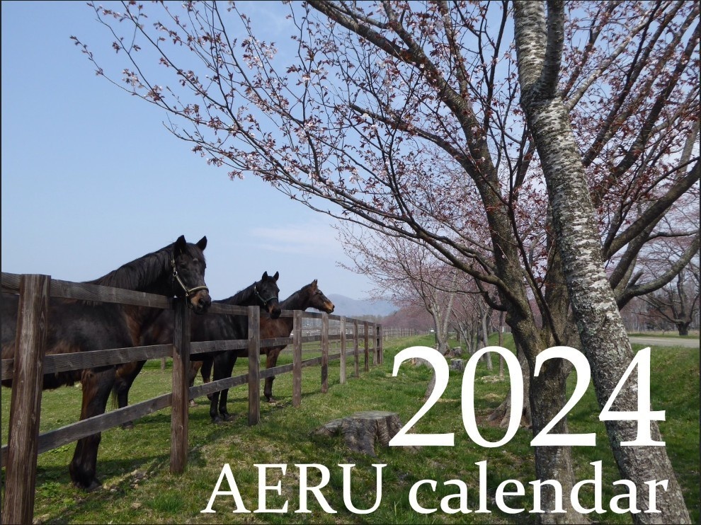 AERU calendar 2024