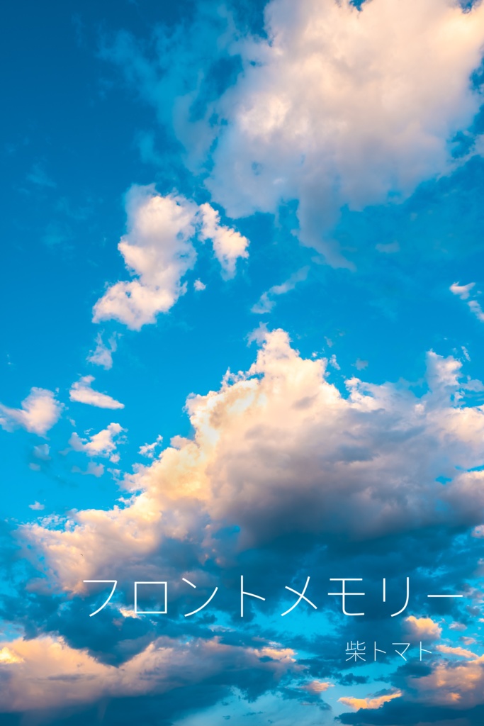 フロントメモリー