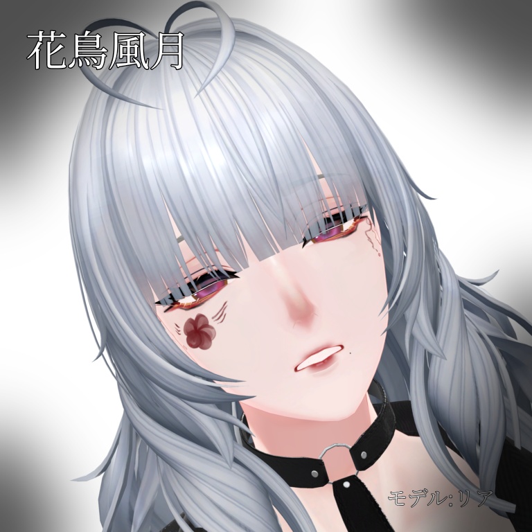花鳥風月❁⃘*.ﾟ