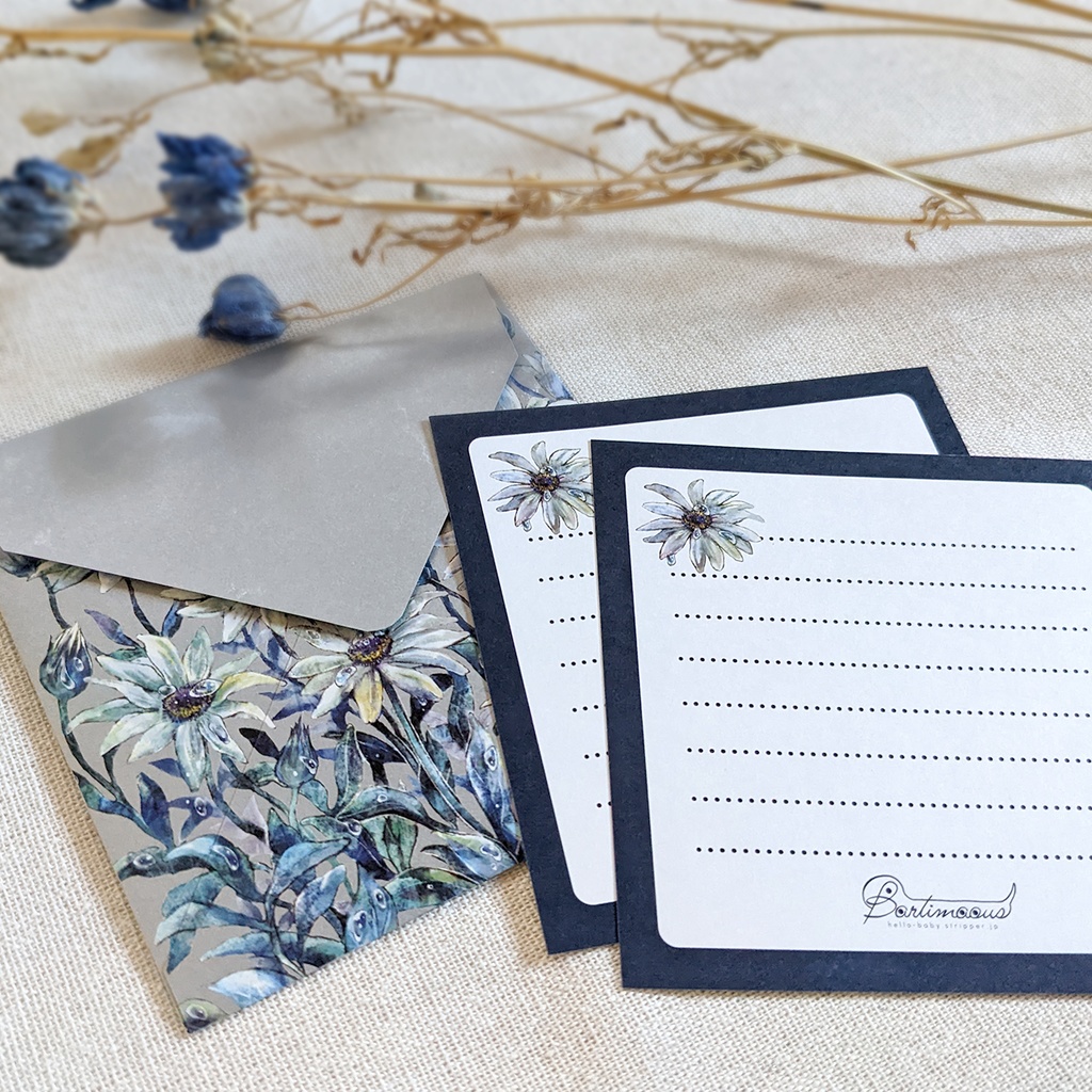 封筒・便せん《オステオスペルマム》