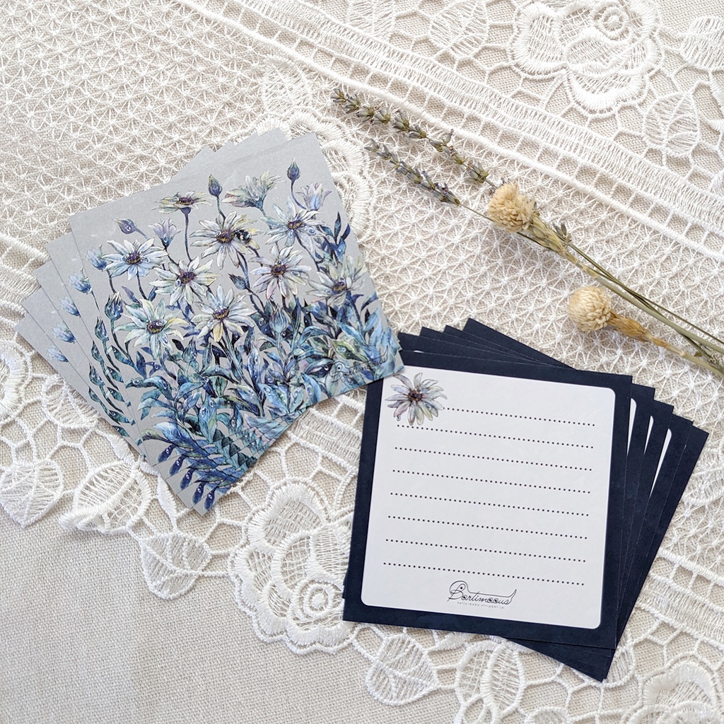 封筒・便せん《オステオスペルマム》