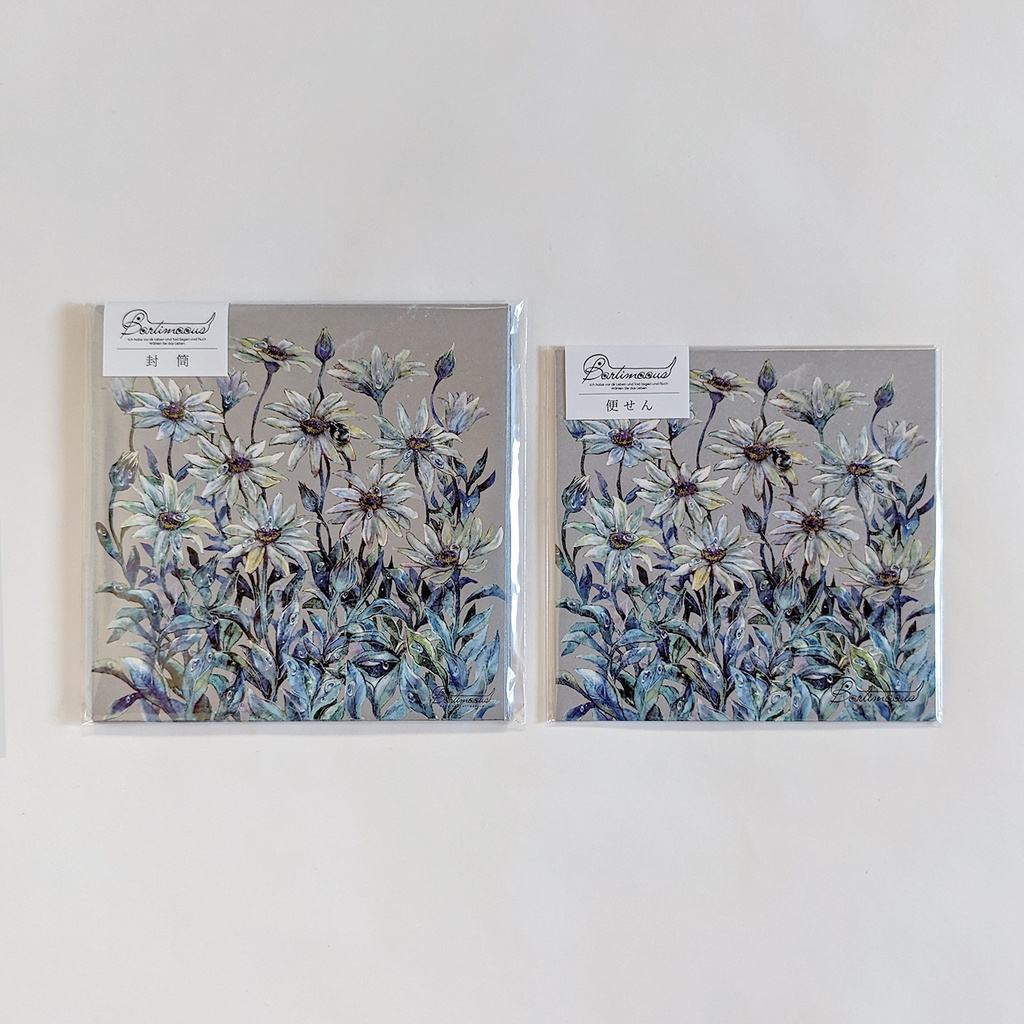 封筒・便せん《オステオスペルマム》