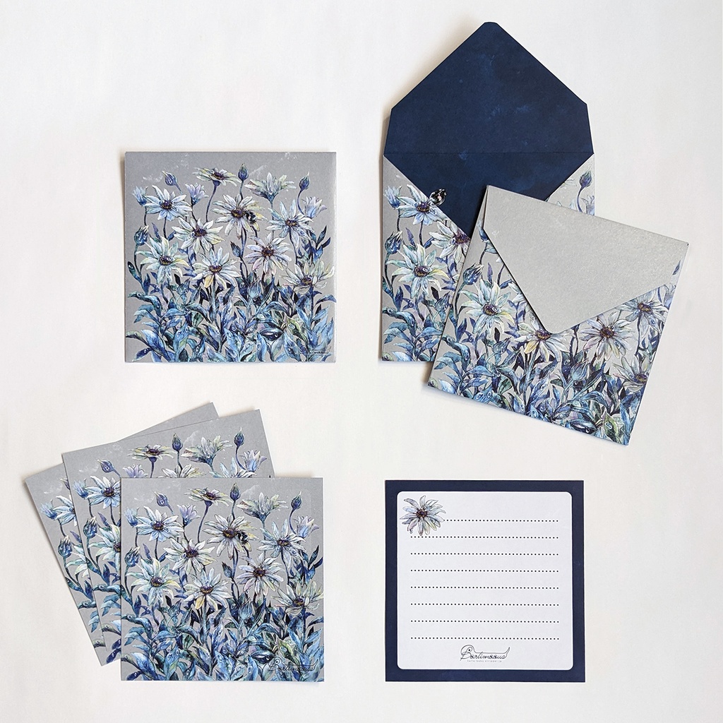 封筒・便せん《オステオスペルマム》