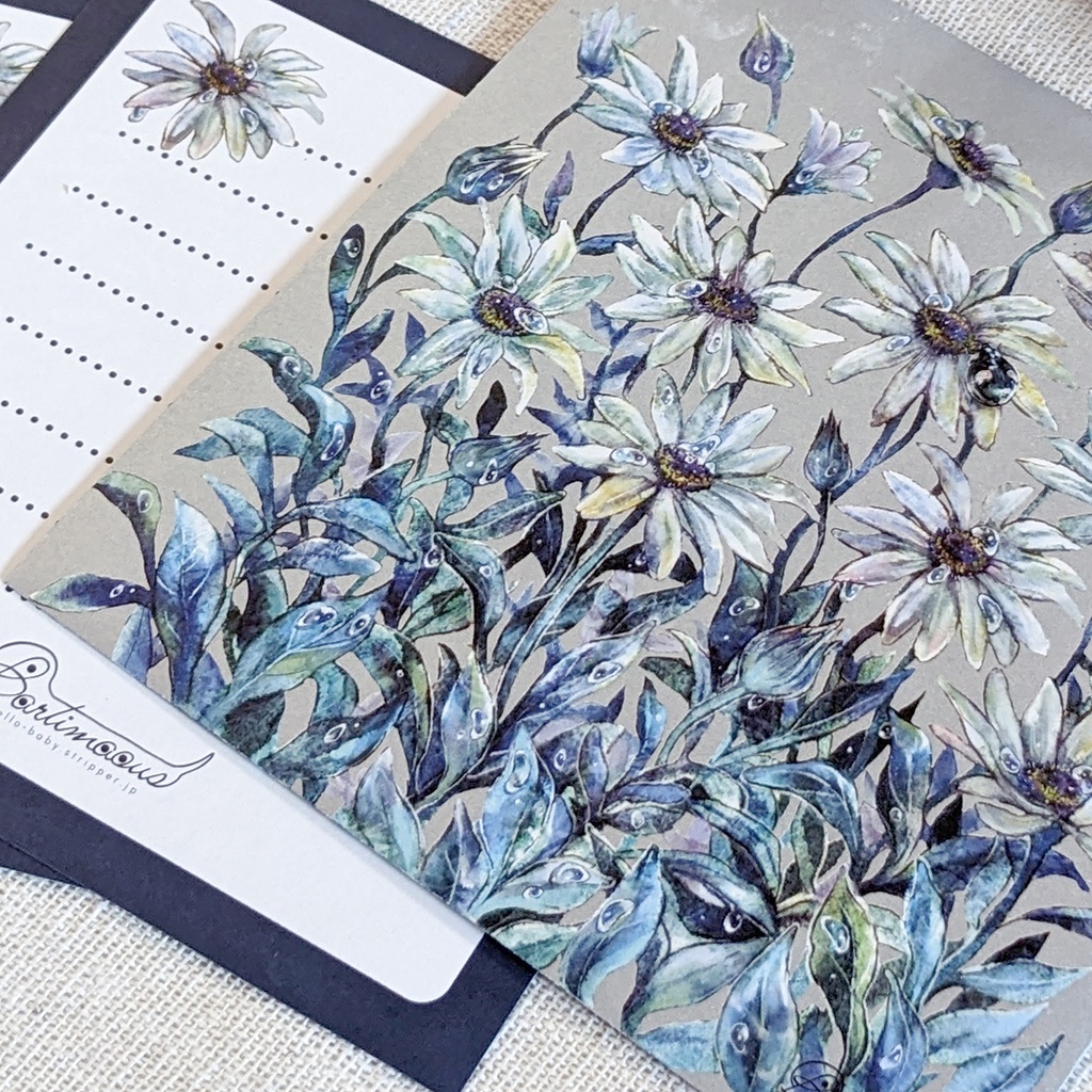 封筒・便せん《オステオスペルマム》