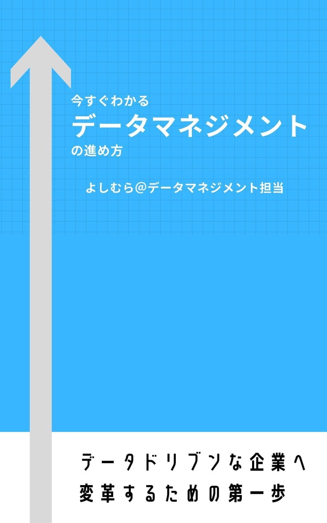 今すぐわかるデータマネジメントの進め方 データドリブンな企業へ変革するための第一歩