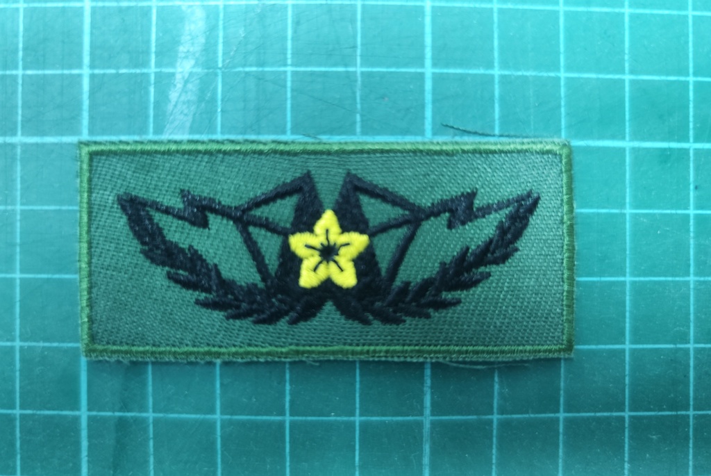 特生自衛隊　メーサー徽章