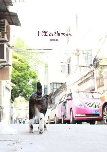 写真集「上海の猫ちゃん」