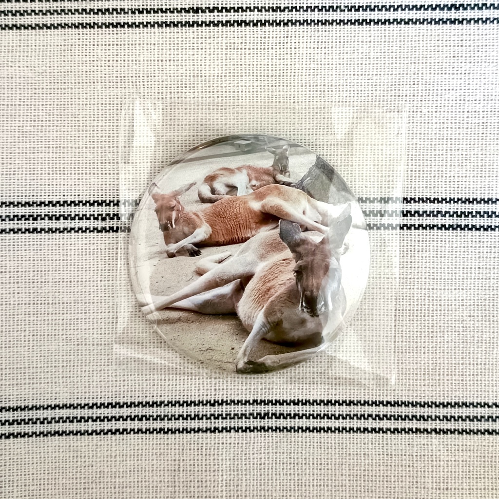 3連カンガルー缶マグネット(57mm)