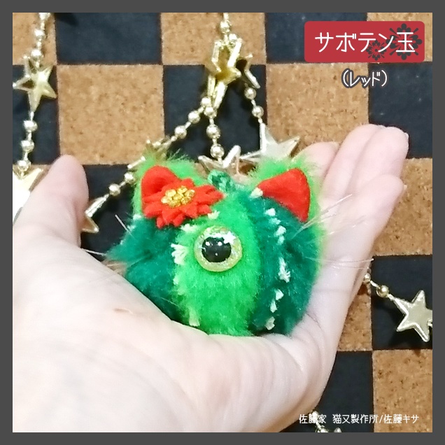 サボテン玉/レッド