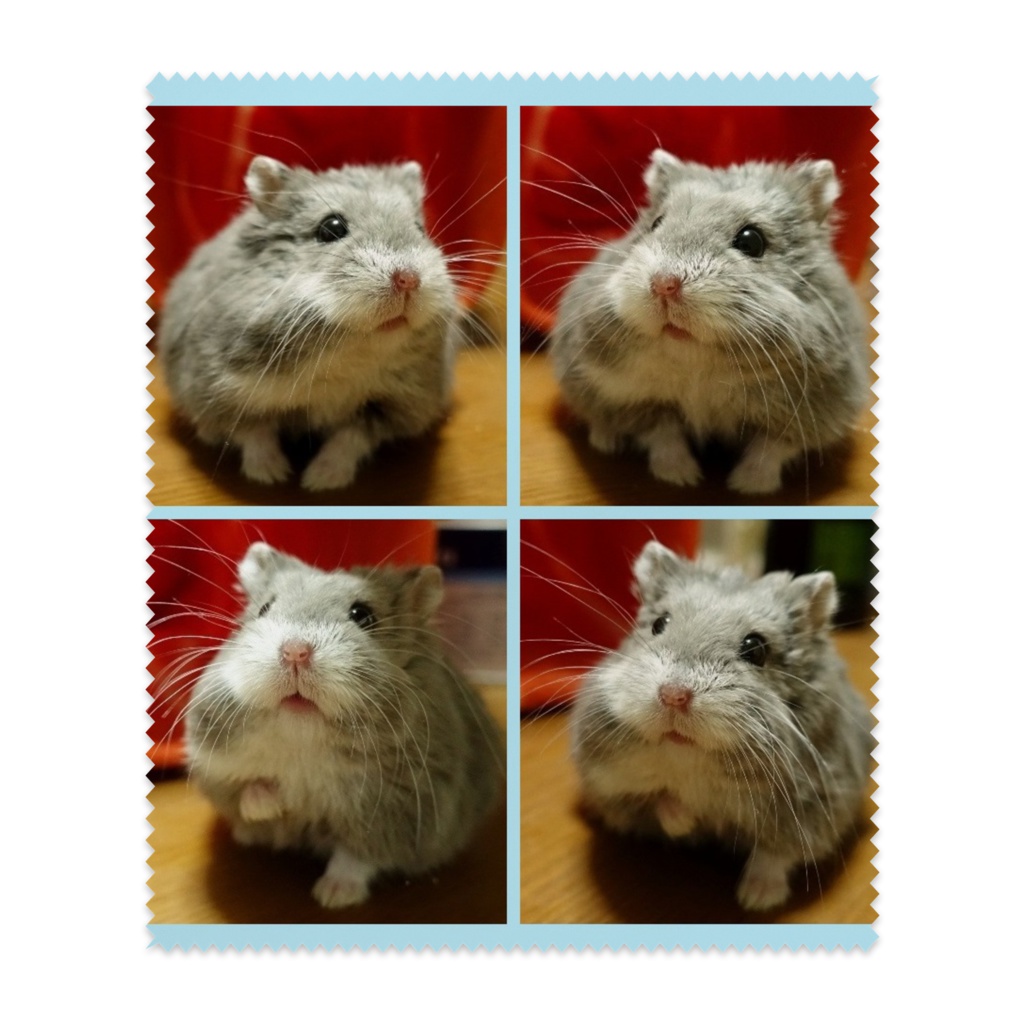 チー太のめがねふき
