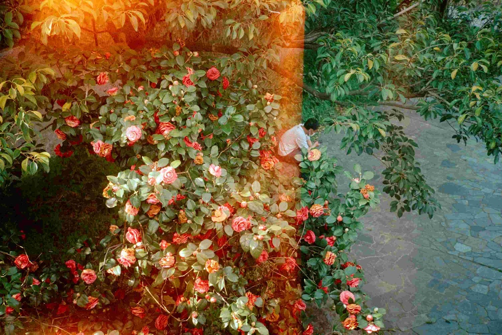 Report no.2 Kou Kato