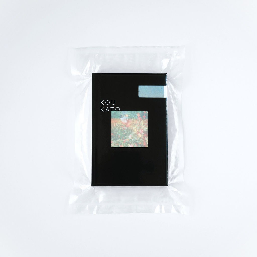 Report no.2　Kou Kato