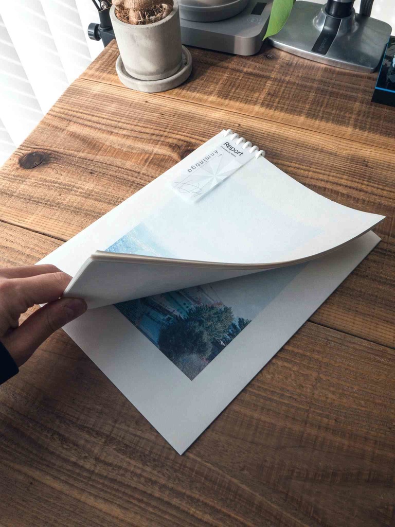 Report no.1 Anminaga (新装版)