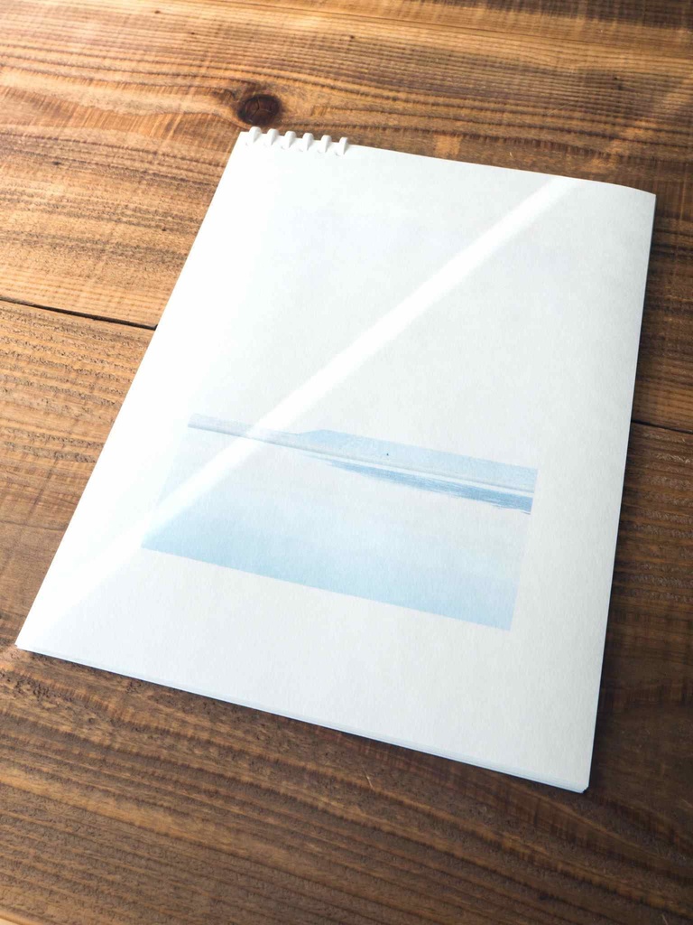 Report no.1 Anminaga (新装版)