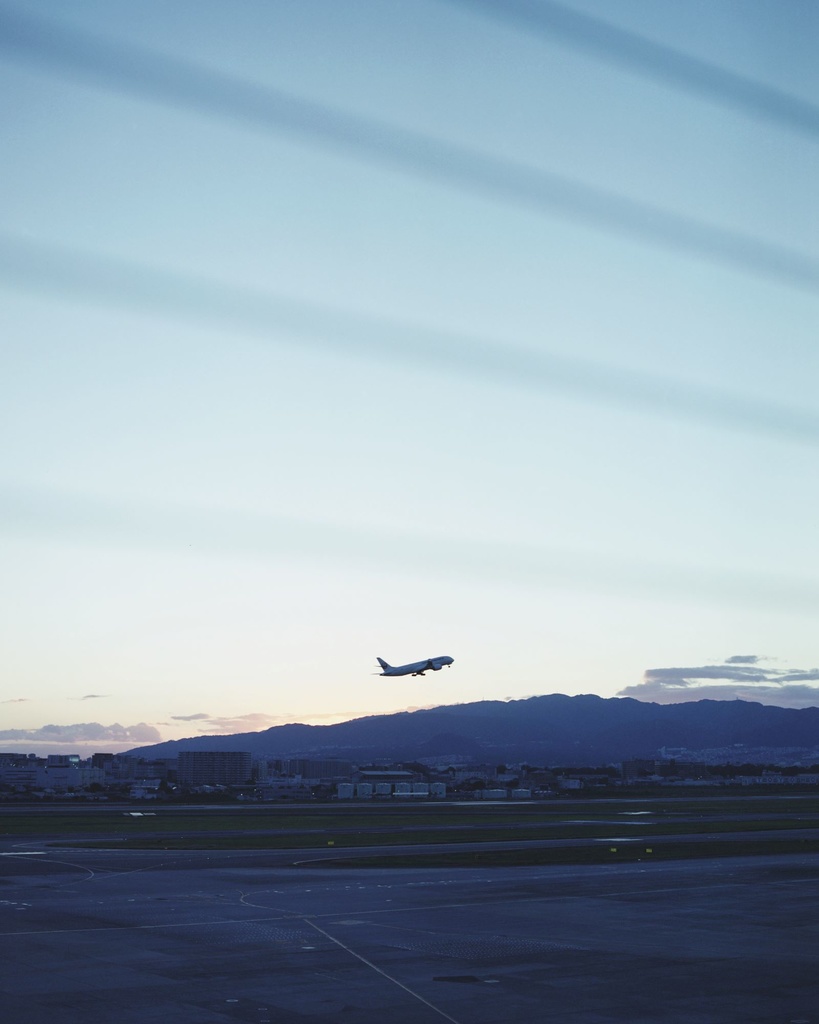 Report no.1 Anminaga (新装版)