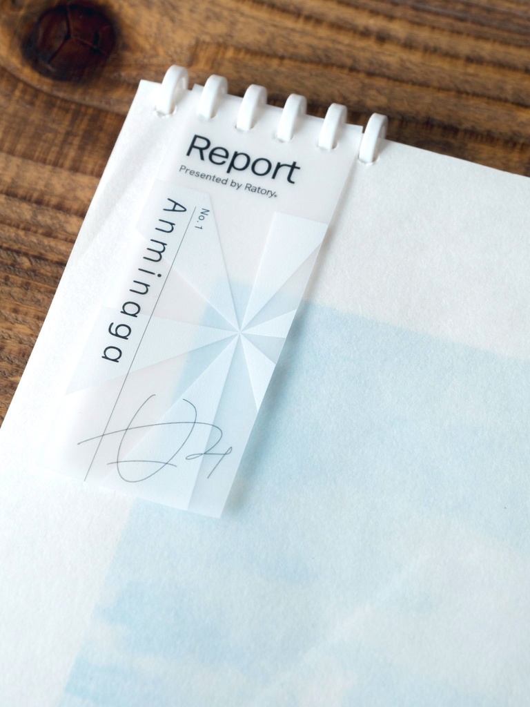 Report no.1 Anminaga (新装版)