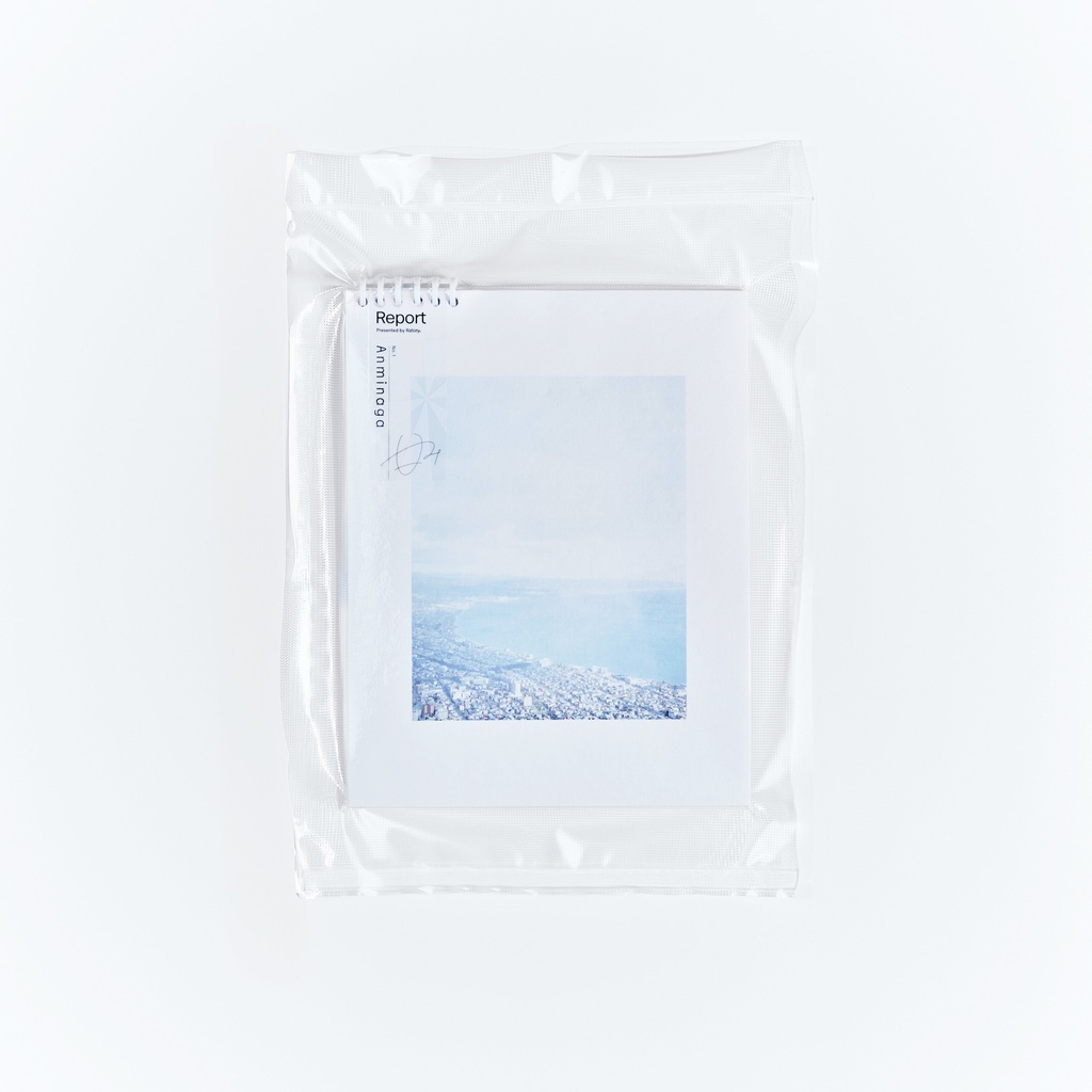 Report no.1　Anminaga （新装版）