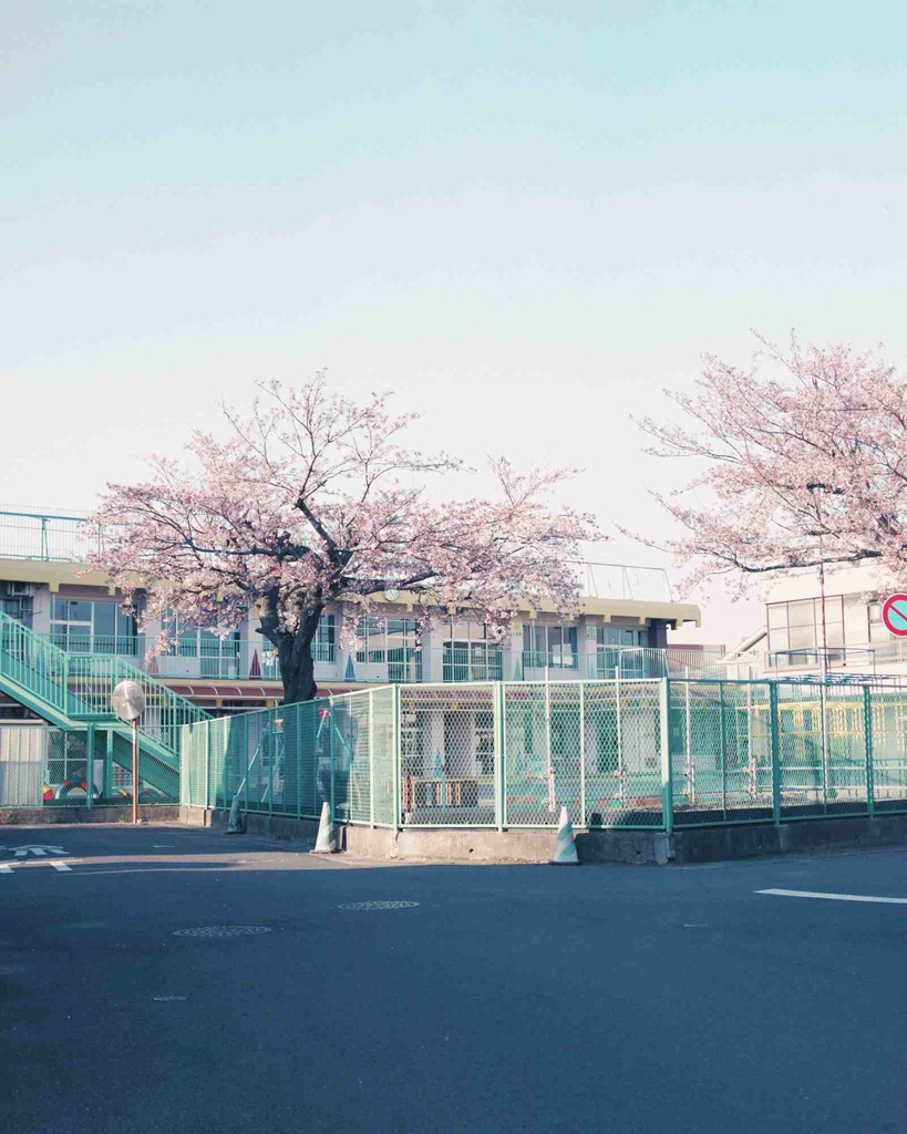 Report no.1 Anminaga (新装版)