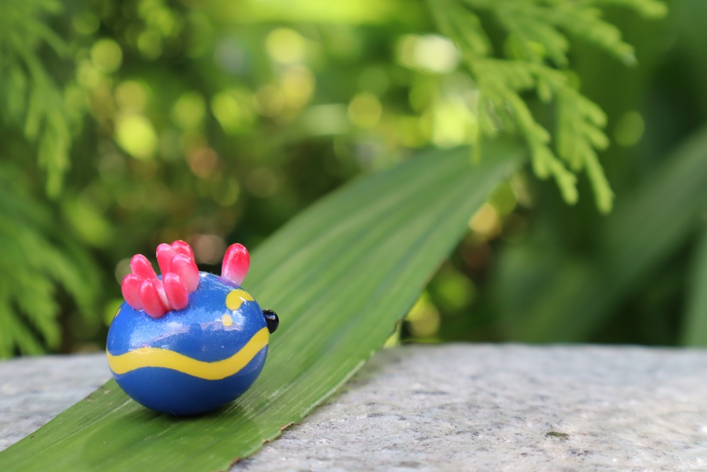 うみうすし マグネット アオウミウシ/パステルアオウミウシ