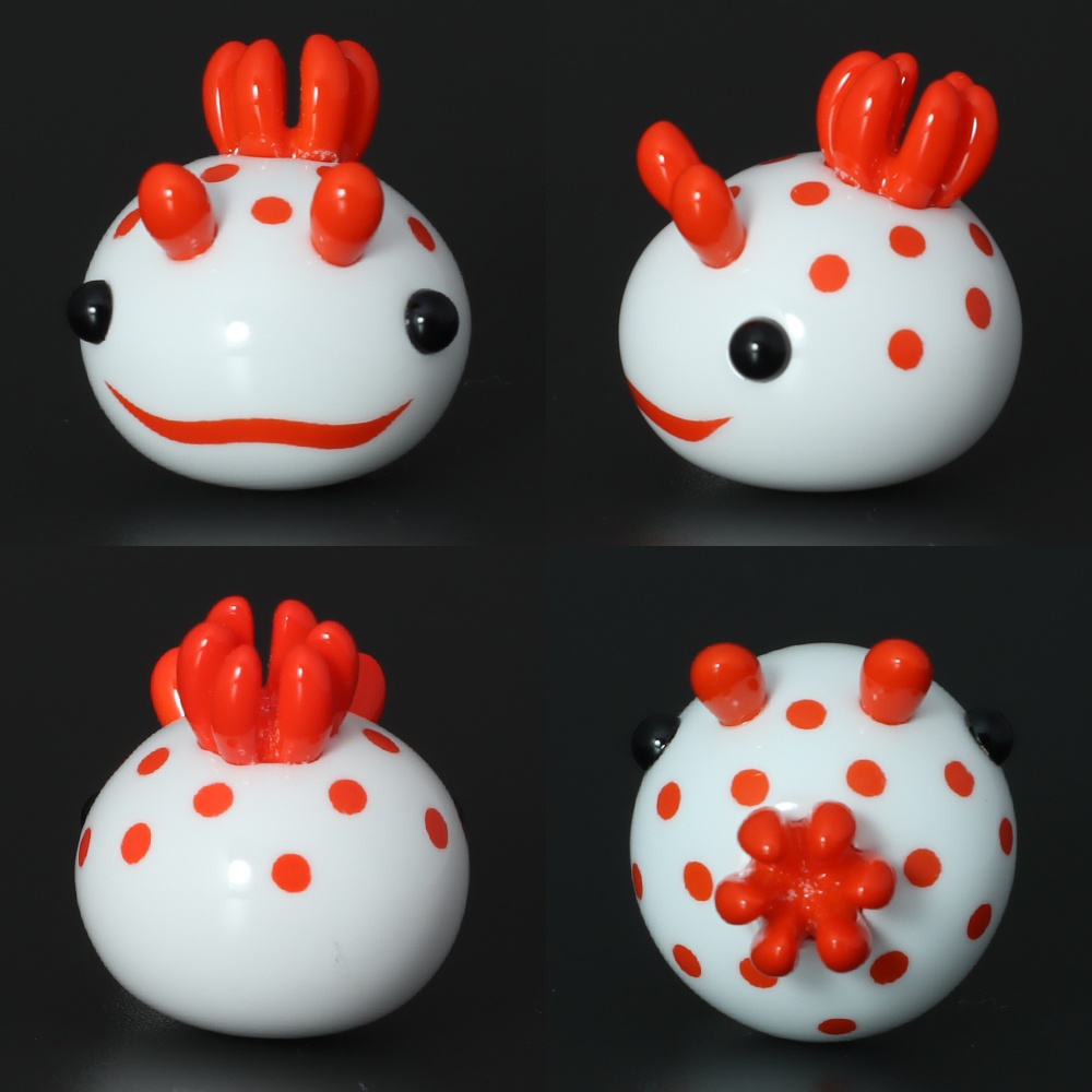 うみうすし マグネット キイボキヌハダウミウシ/オオアカキヌハダウミウシ