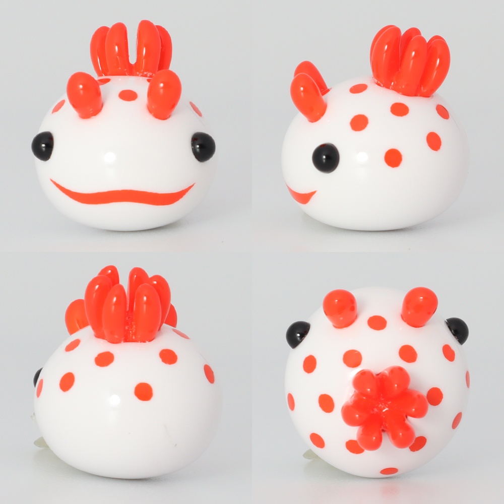 うみうすし マグネット キイボキヌハダウミウシ/オオアカキヌハダウミウシ