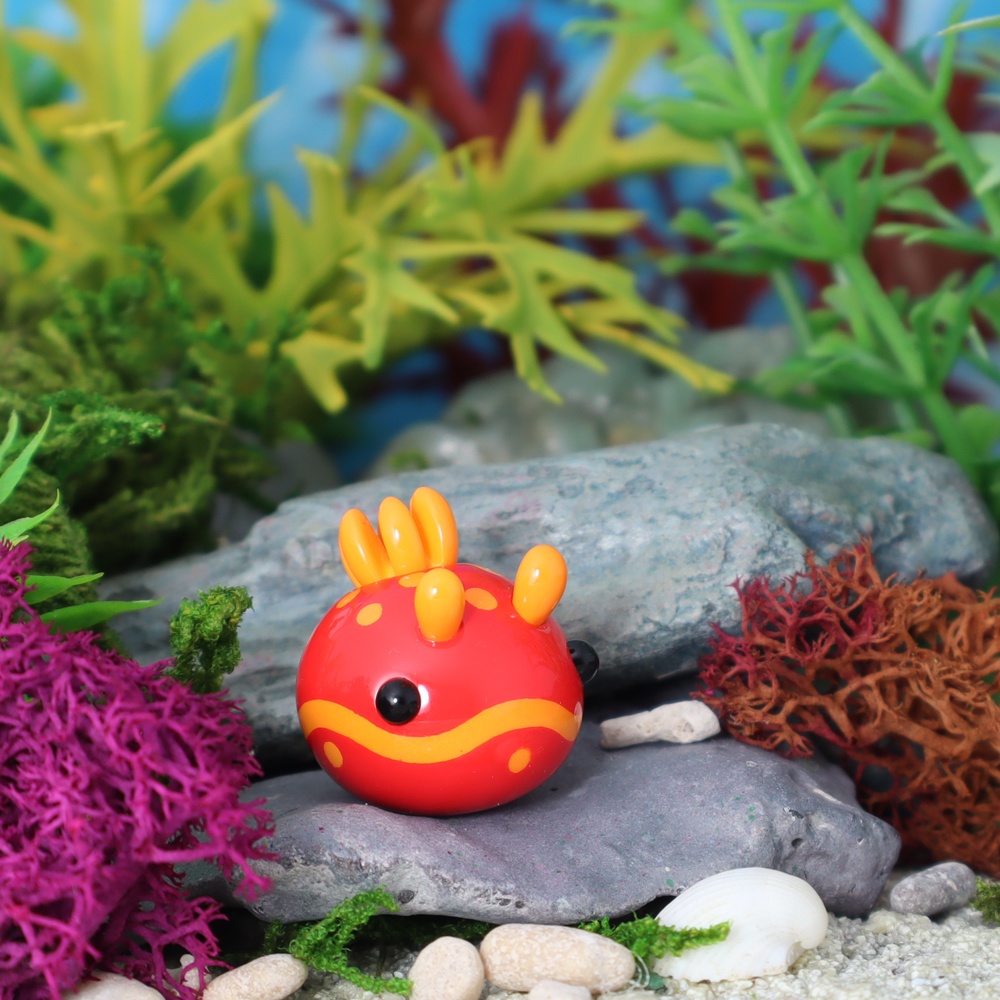 うみうすし マグネット キイボキヌハダウミウシ/オオアカキヌハダウミウシ