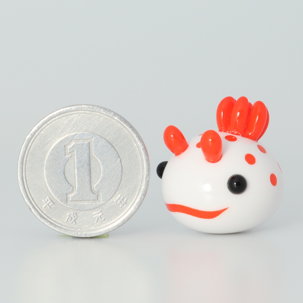 うみうすし マグネット キイボキヌハダウミウシ/オオアカキヌハダウミウシ