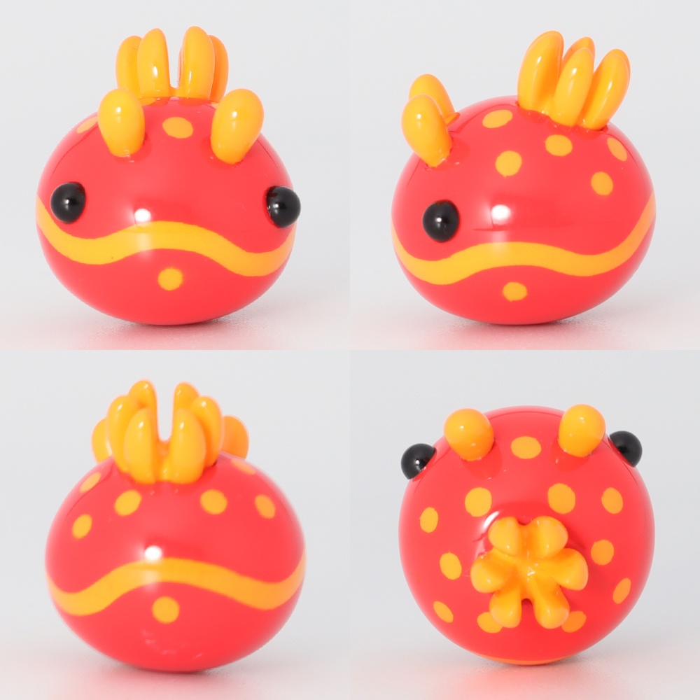 うみうすし マグネット キイボキヌハダウミウシ/オオアカキヌハダウミウシ