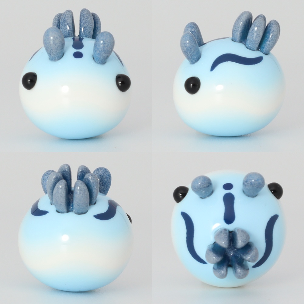 うみうすし マグネット ミゾレウミウシ