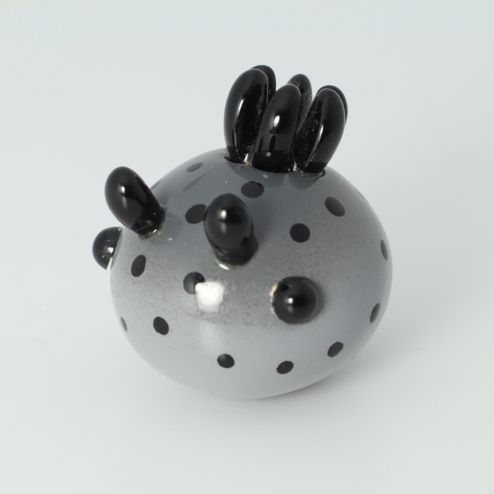 うみうすし マグネット ウスズミウミウシ