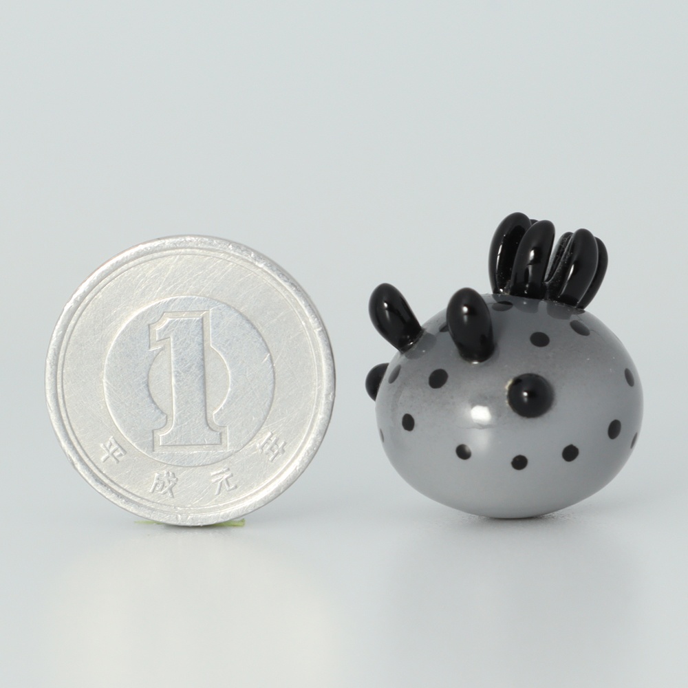 うみうすし マグネット ウスズミウミウシ