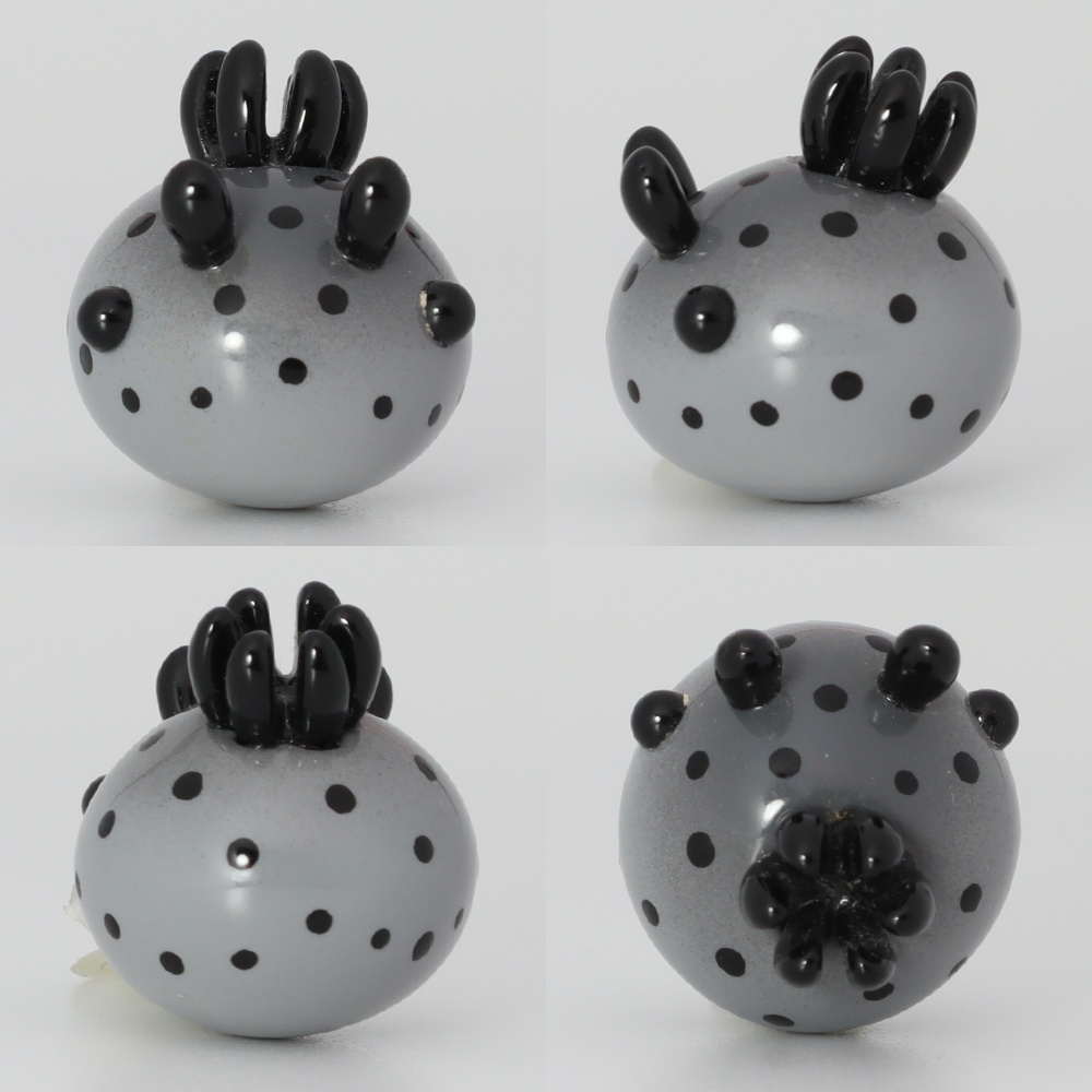 うみうすし マグネット ウスズミウミウシ