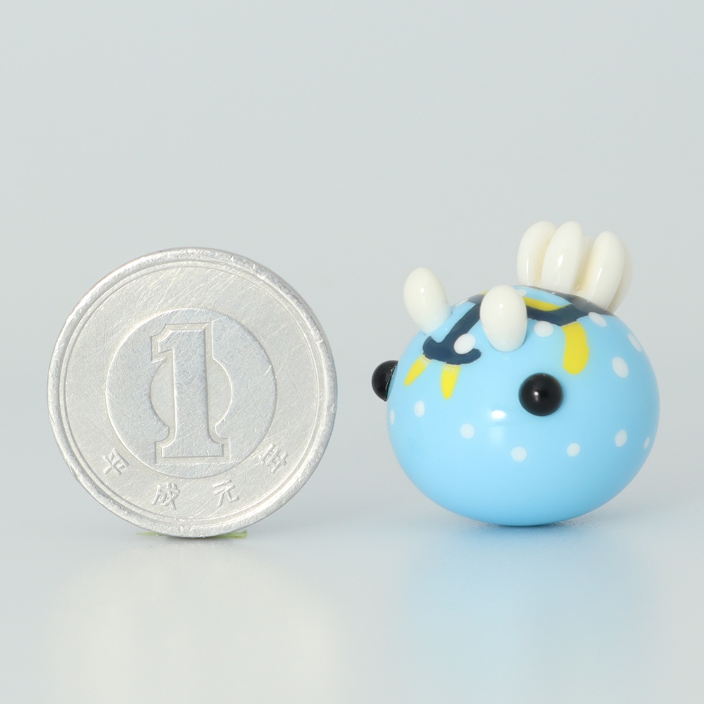 うみうすし マグネット シモフリカメサンウミウシ