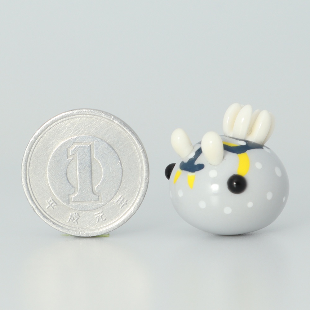 うみうすし マグネット シモフリカメサンウミウシ