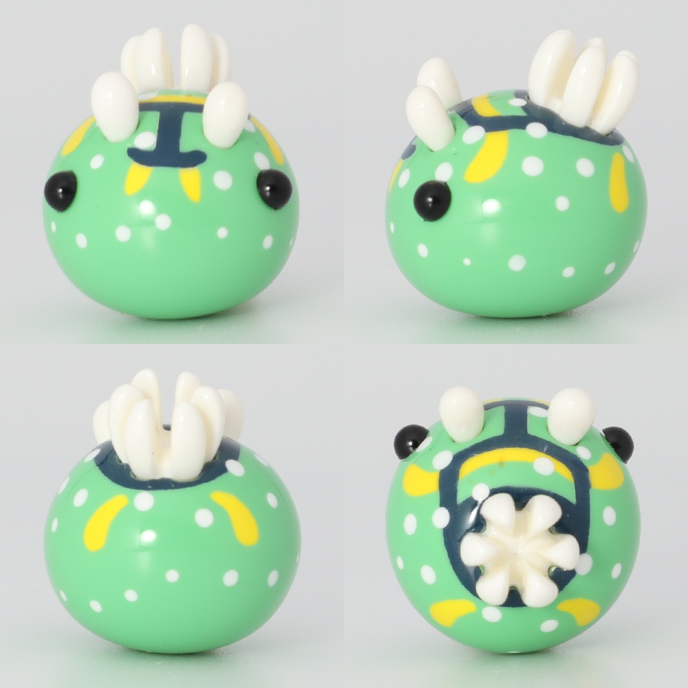 うみうすし マグネット シモフリカメサンウミウシ